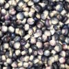 Blue Mesa Maize Cornmeal - Image 3