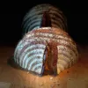 Wheatsome - Image 4